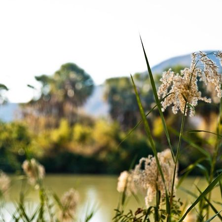 Omarunga Epupa-Falls Campsite מראה חיצוני תמונה